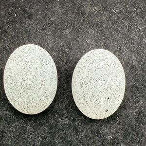 Vintage Austria White Lucite Clip-On Earrings – Retro Round